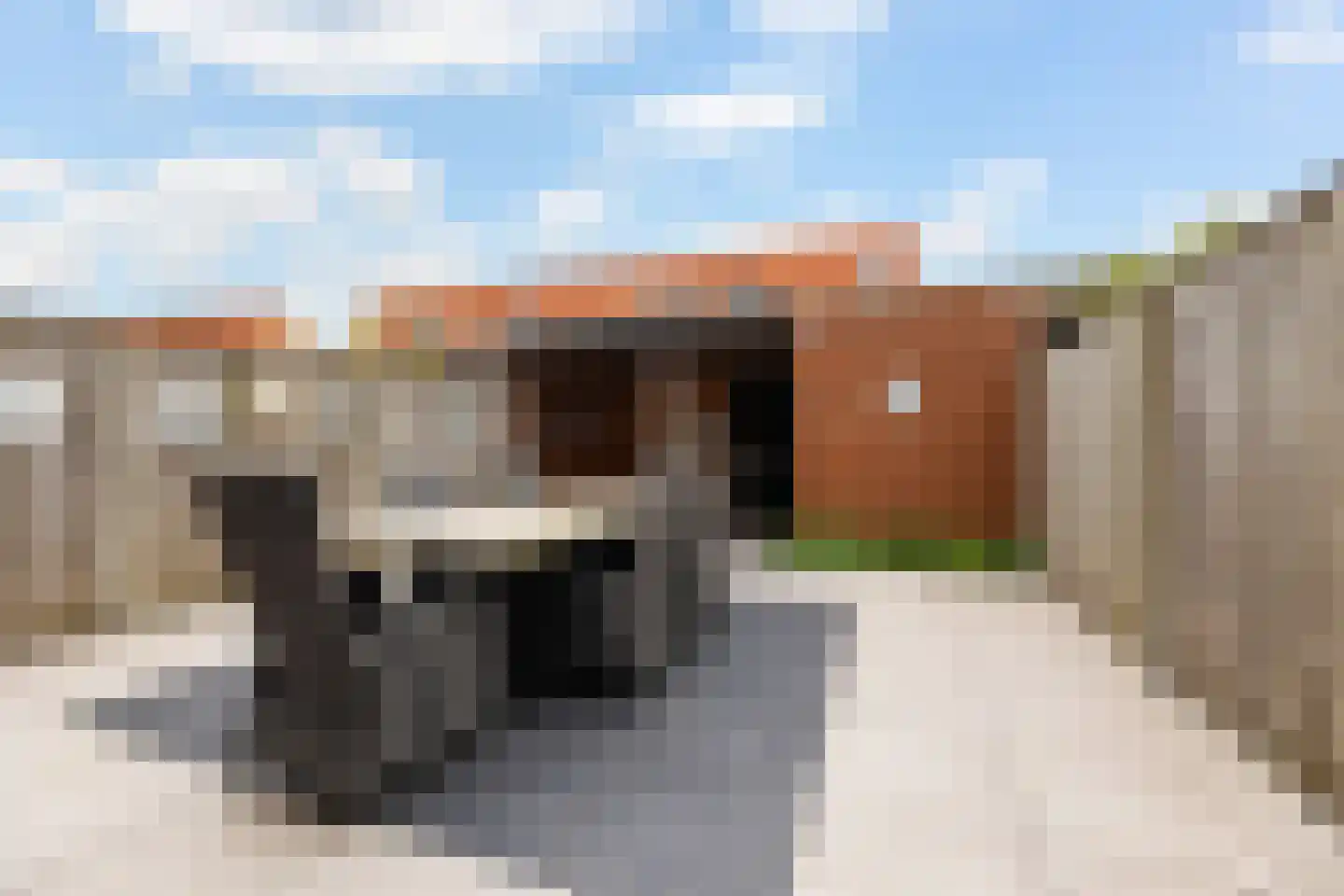 De Geere 30 Wijhe thumbnail 21