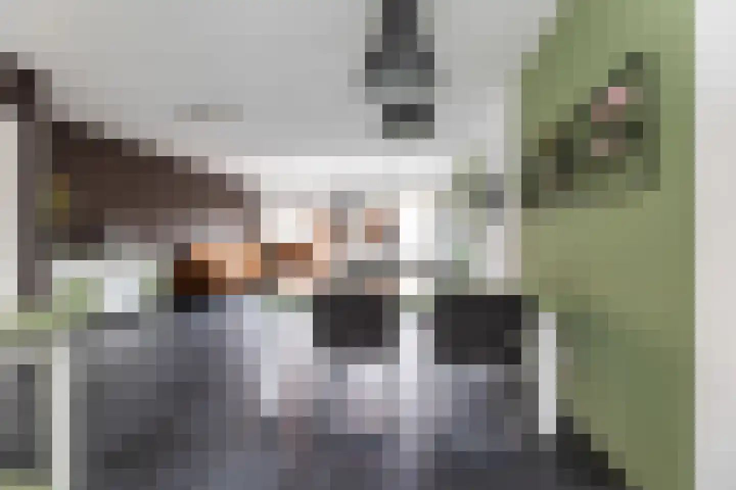 De Geere 30 Wijhe thumbnail 6