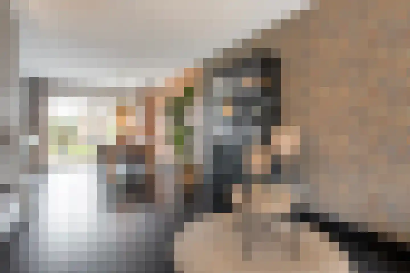 De Geere 5 Wijhe thumbnail 10