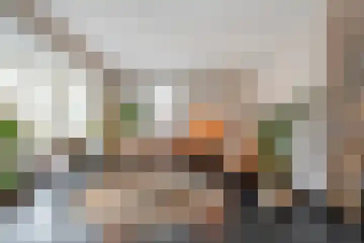 De Geere 5 Wijhe thumbnail 12