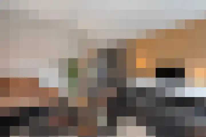 De Geere 5 Wijhe thumbnail 16