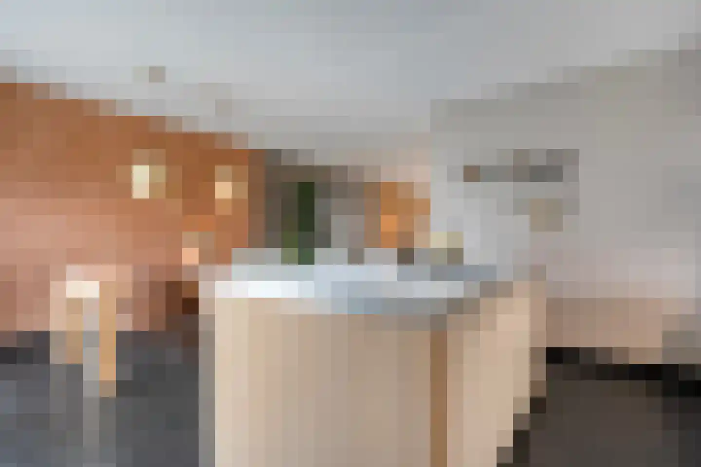 De Geere 5 Wijhe thumbnail 22