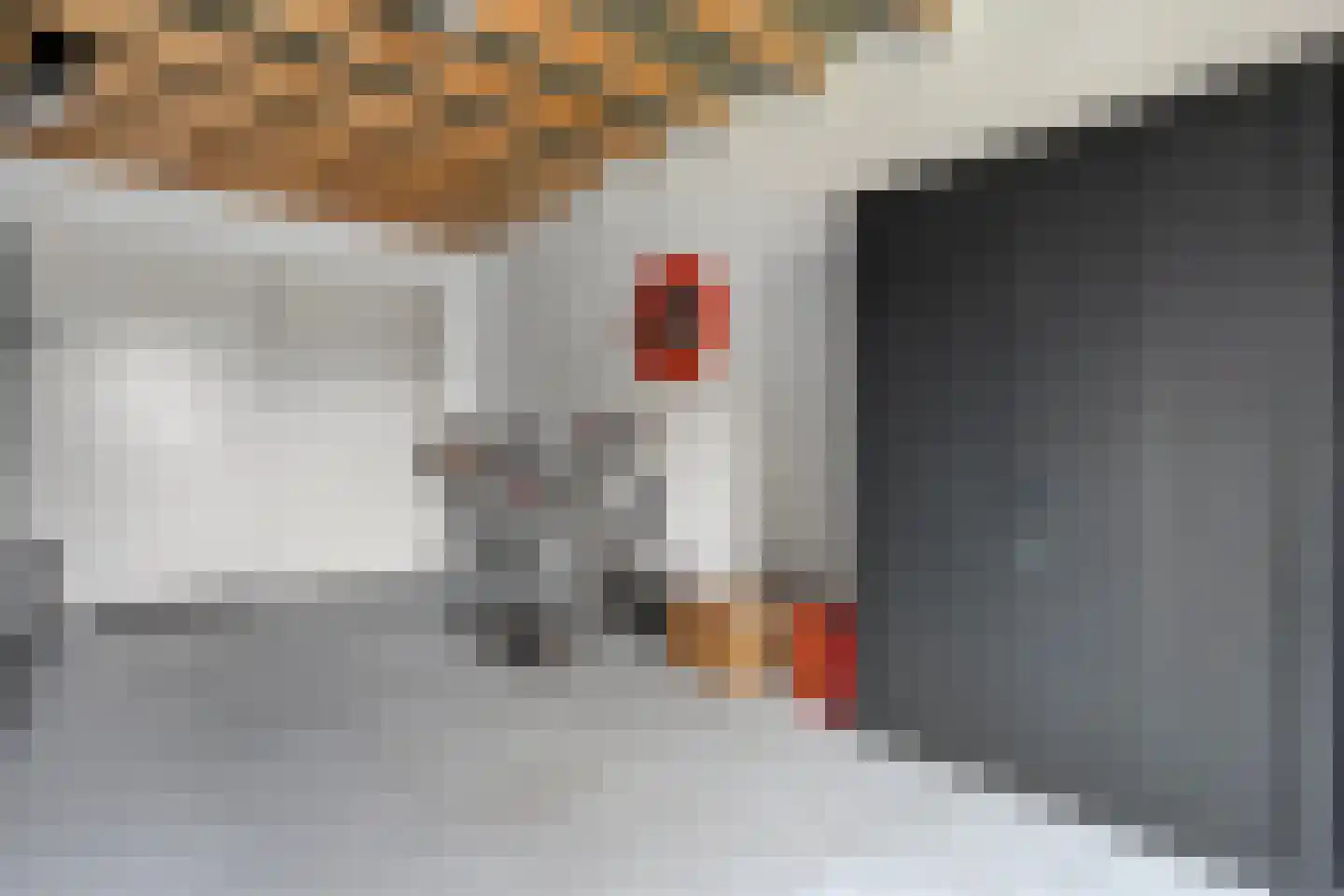 De Geere 5 Wijhe thumbnail 27