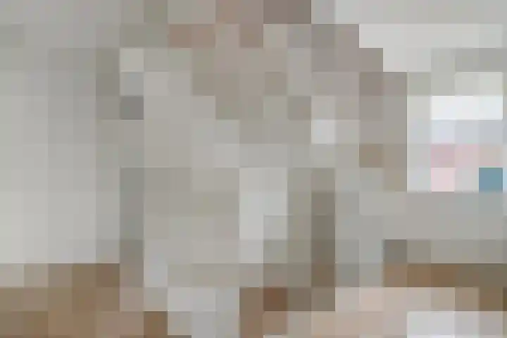 De Geere 5 Wijhe thumbnail 29