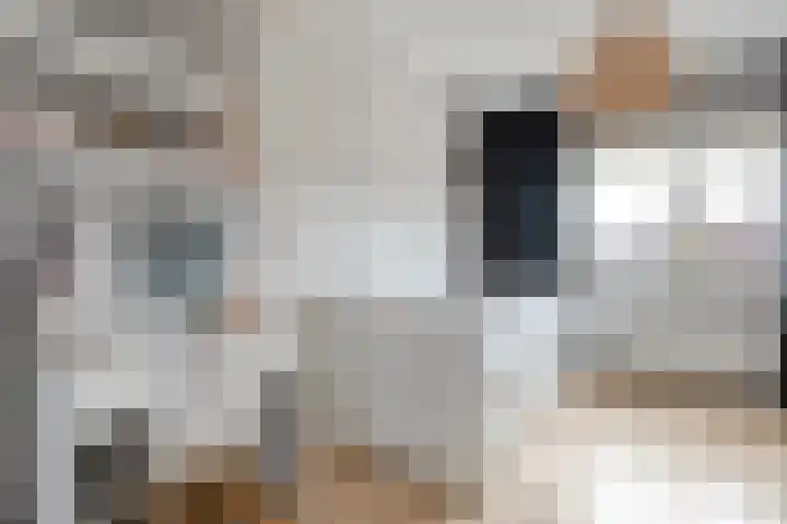 De Geere 5 Wijhe thumbnail 33