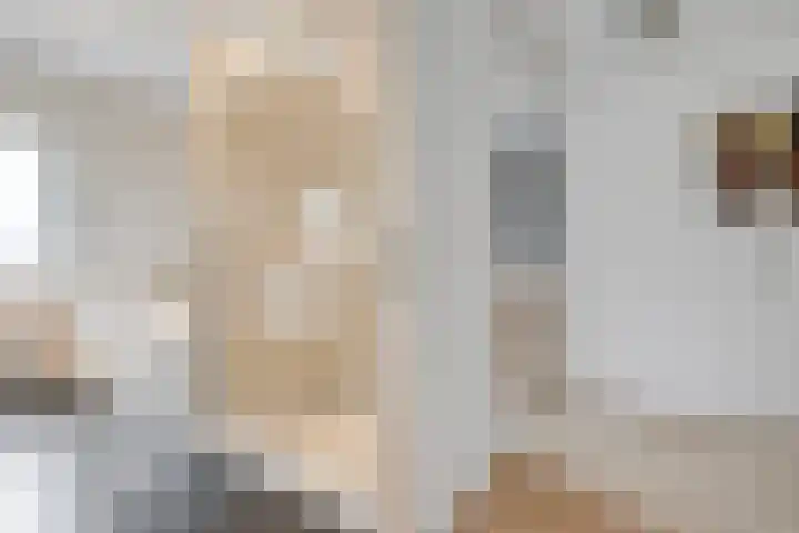 De Geere 5 Wijhe thumbnail 38