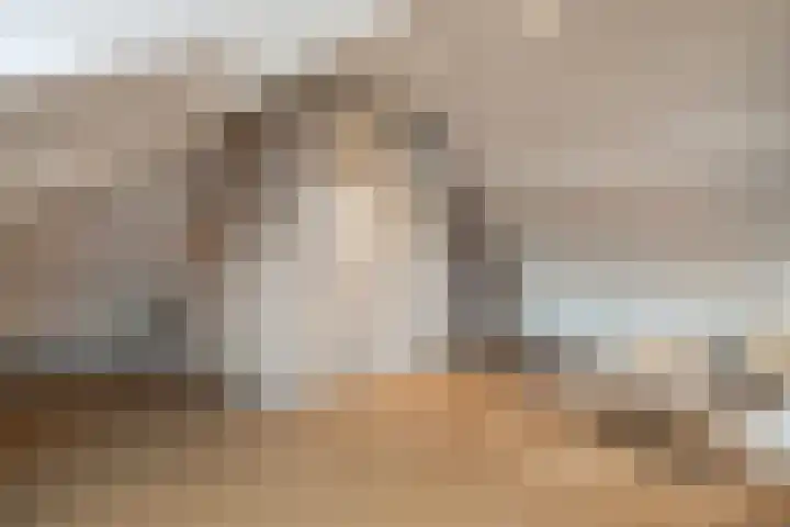 De Geere 5 Wijhe thumbnail 43