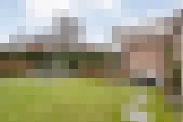 De Geere 5 Wijhe thumbnail 48