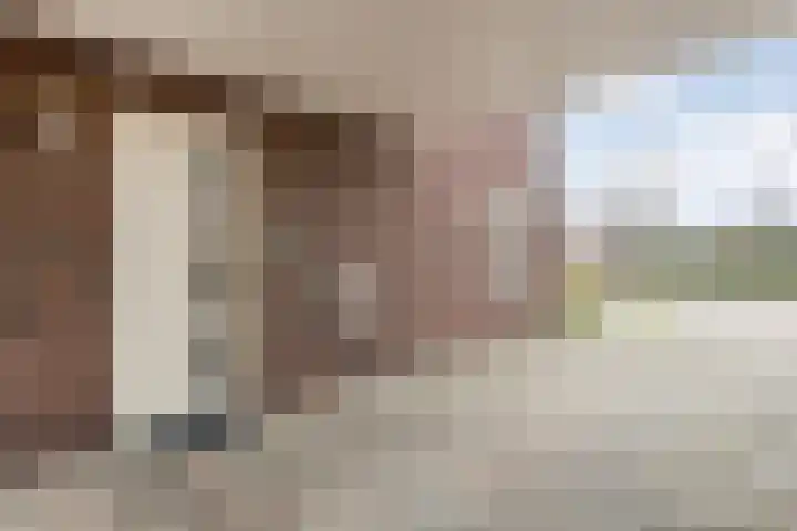 De Geere 5 Wijhe thumbnail 5