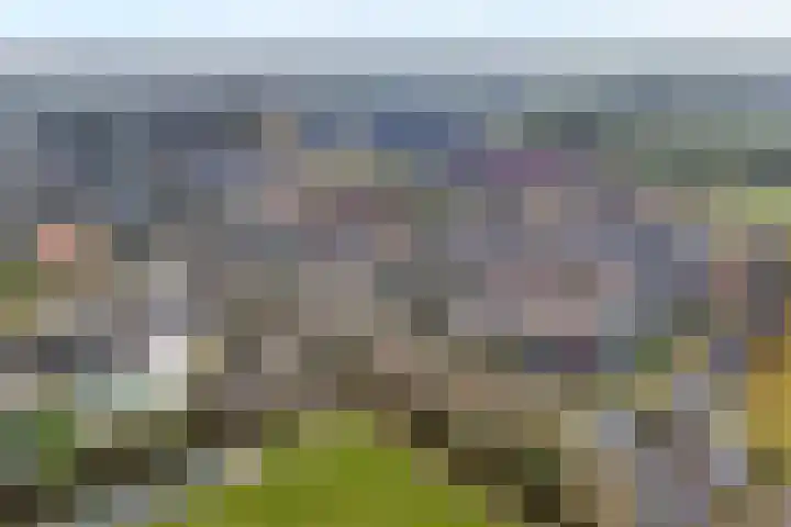 De Geere 5 Wijhe thumbnail 53