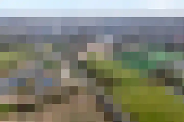 De Geere 5 Wijhe thumbnail 54