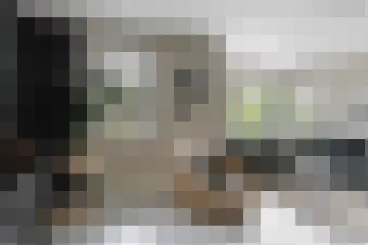 De Geere 60 Wijhe thumbnail 13