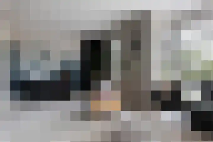 De Geere 60 Wijhe thumbnail 15