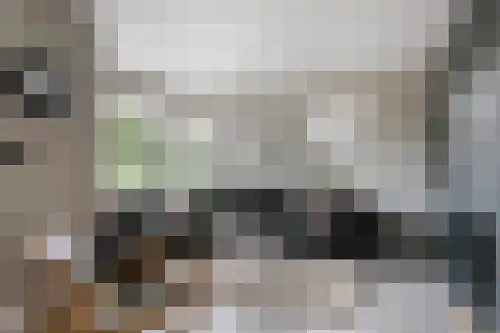 De Geere 60 Wijhe thumbnail 17