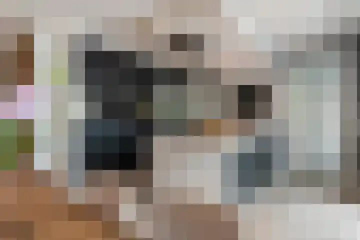 De Geere 60 Wijhe thumbnail 18