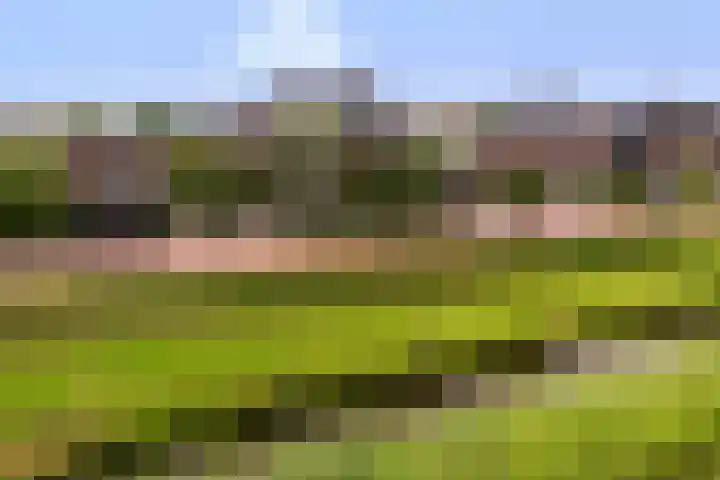 De Geere 60 Wijhe foto 2