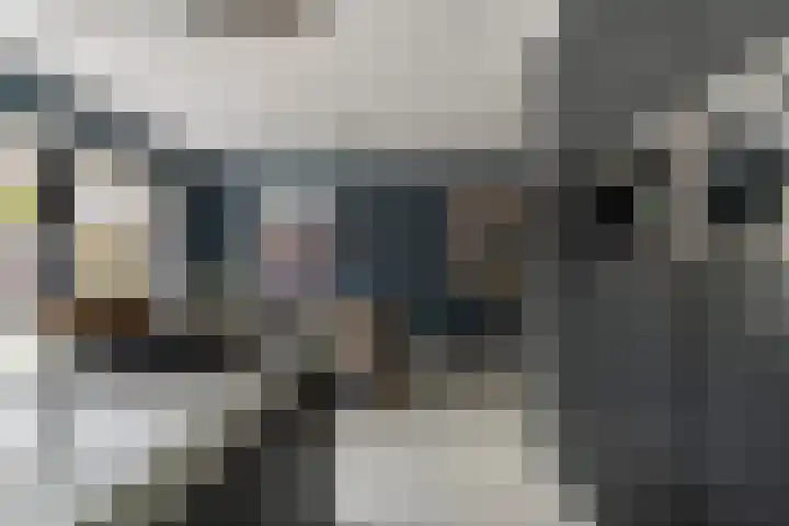 De Geere 60 Wijhe thumbnail 20