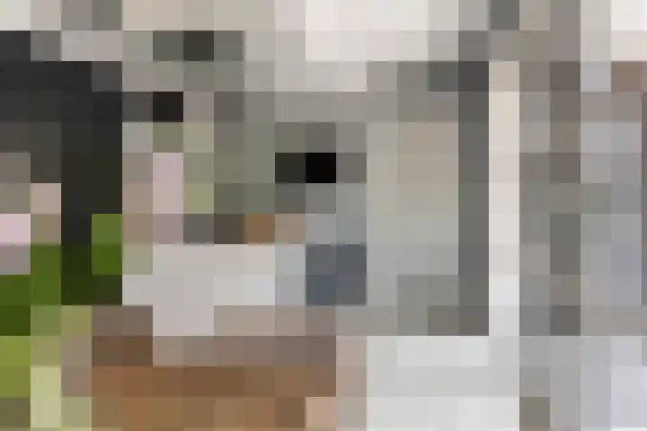 De Geere 60 Wijhe thumbnail 22