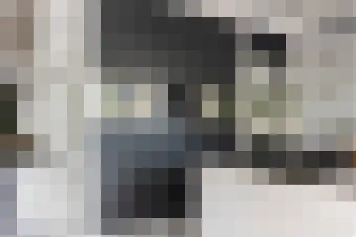 De Geere 60 Wijhe thumbnail 23