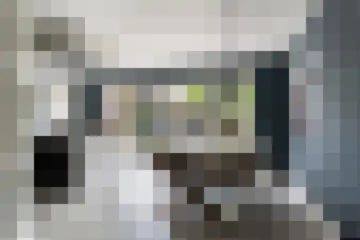 De Geere 60 Wijhe thumbnail 25