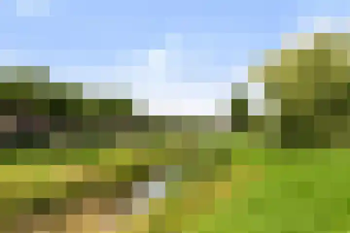 De Geere 60 Wijhe foto 3