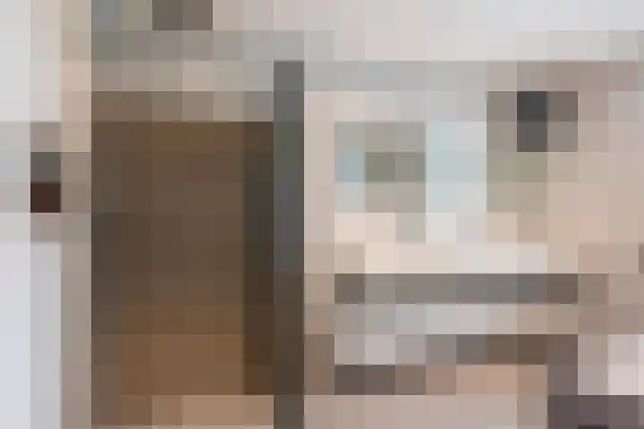 De Geere 60 Wijhe thumbnail 36