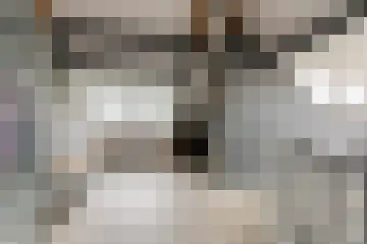 De Geere 60 Wijhe thumbnail 38