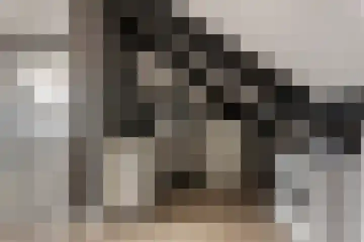De Geere 60 Wijhe thumbnail 39