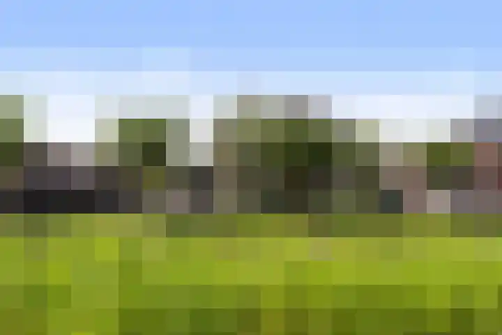 De Geere 60 Wijhe thumbnail 4