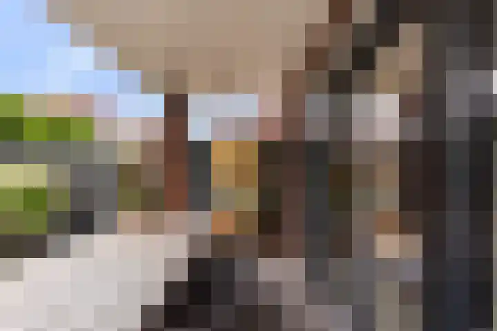 De Geere 60 Wijhe thumbnail 41