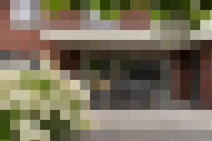 De Geere 60 Wijhe thumbnail 42