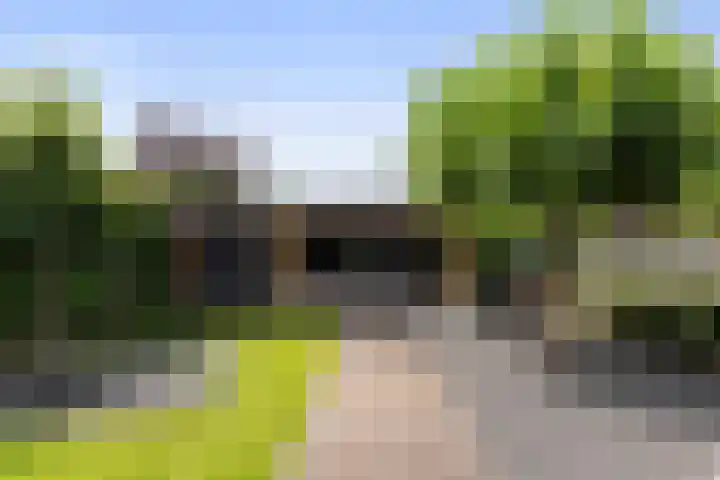 De Geere 60 Wijhe thumbnail 43
