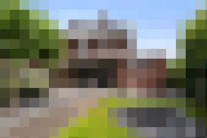 De Geere 60 Wijhe thumbnail 45