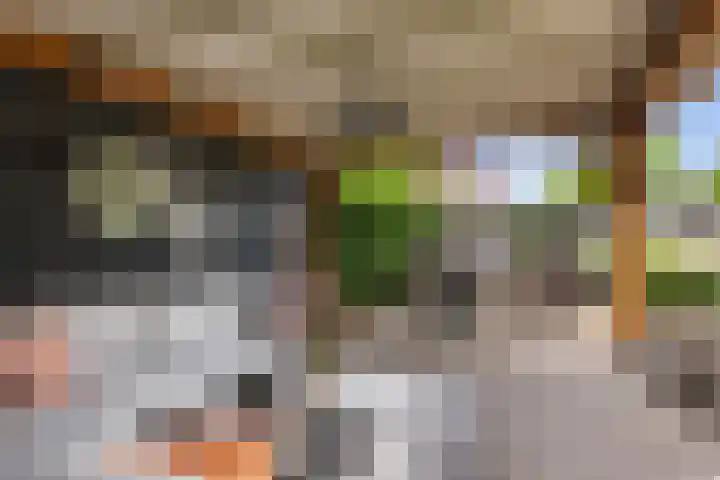 De Geere 60 Wijhe thumbnail 47