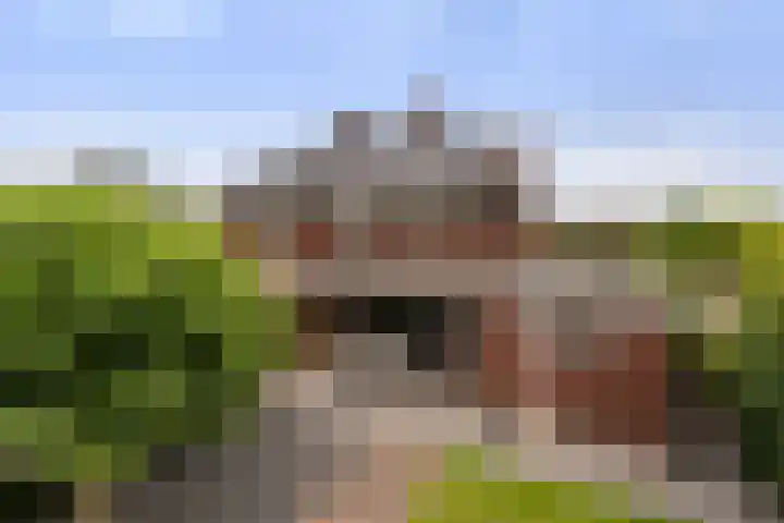 De Geere 60 Wijhe thumbnail 5