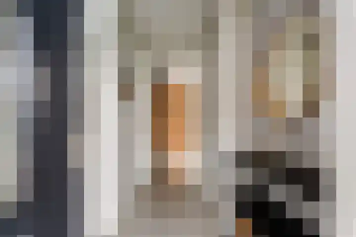 De Geere 60 Wijhe thumbnail 7