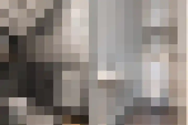De Geere 60 Wijhe thumbnail 8
