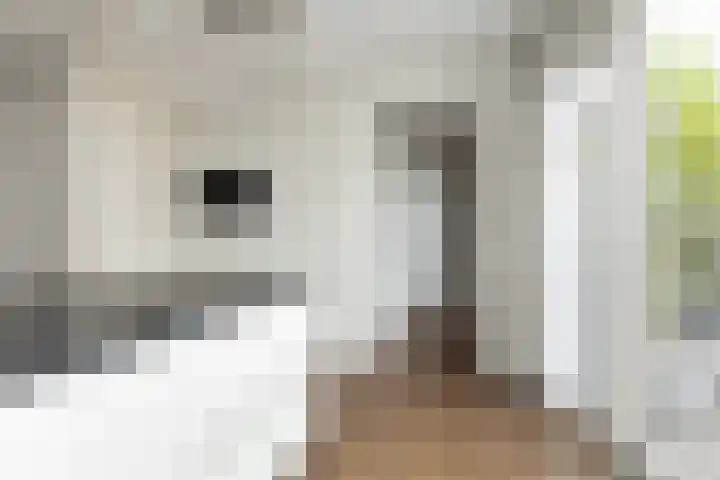 De Geere 82 Wijhe thumbnail 10