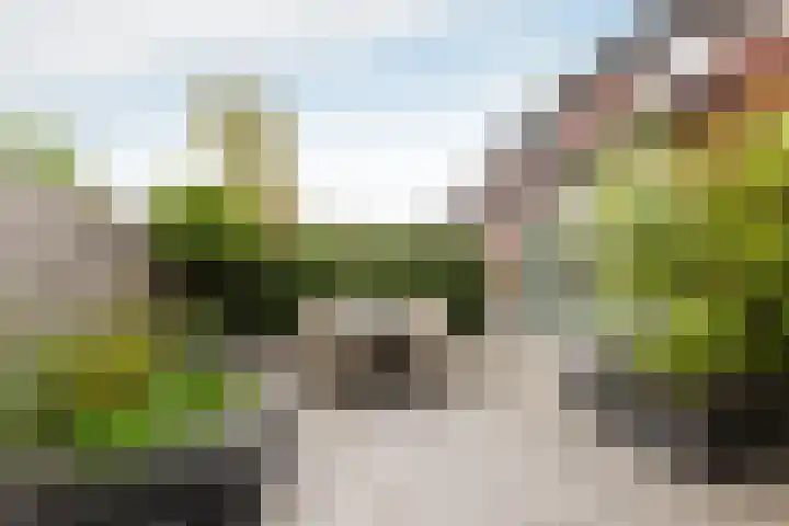 De Geere 82 Wijhe thumbnail 13
