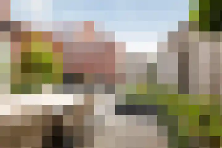 De Geere 82 Wijhe thumbnail 14