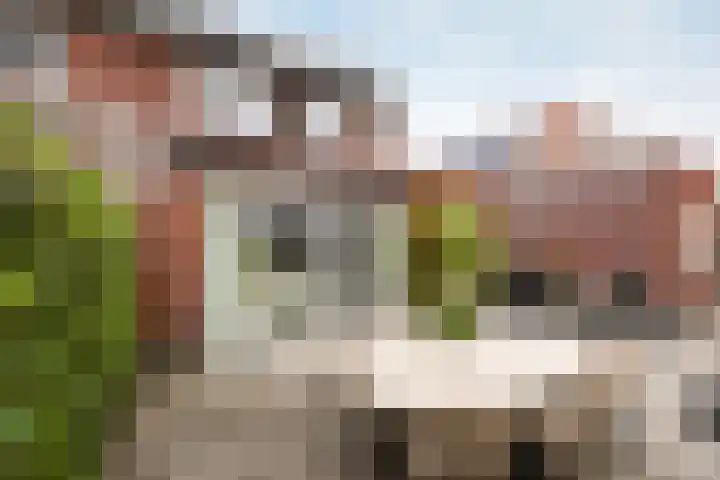 De Geere 82 Wijhe thumbnail 15