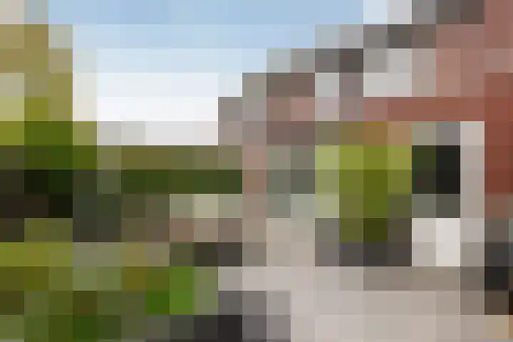 De Geere 82 Wijhe thumbnail 16