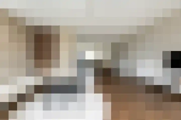De Geere 82 Wijhe thumbnail 6