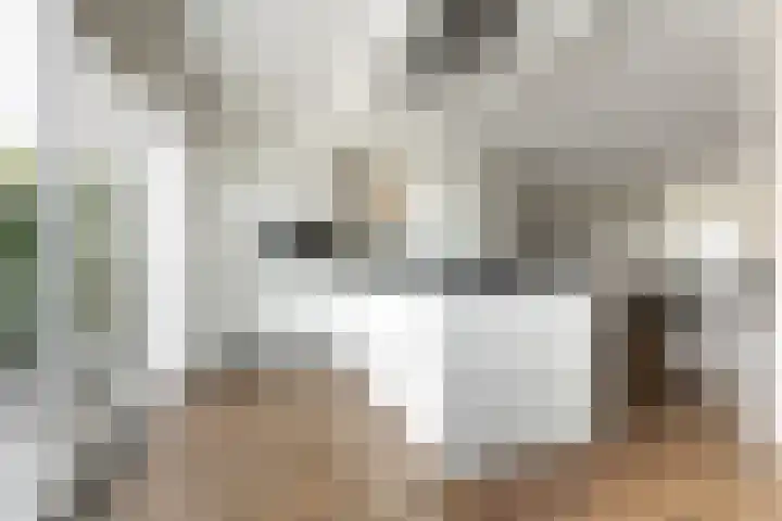 De Geere 82 Wijhe thumbnail 8