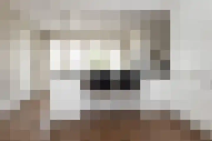 De Geere 82 Wijhe thumbnail 9