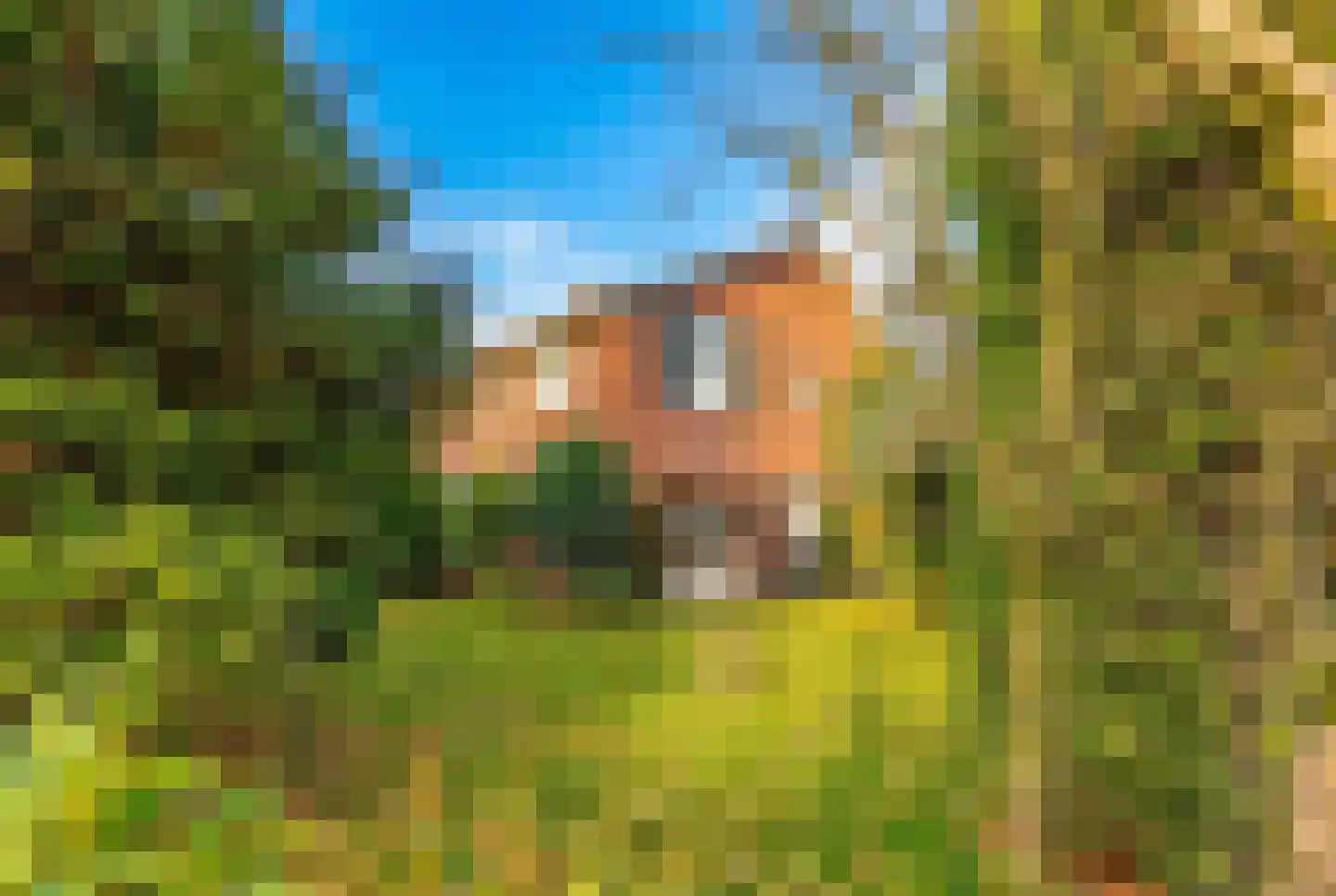 de Geerenweg 1 Baarn thumbnail 32