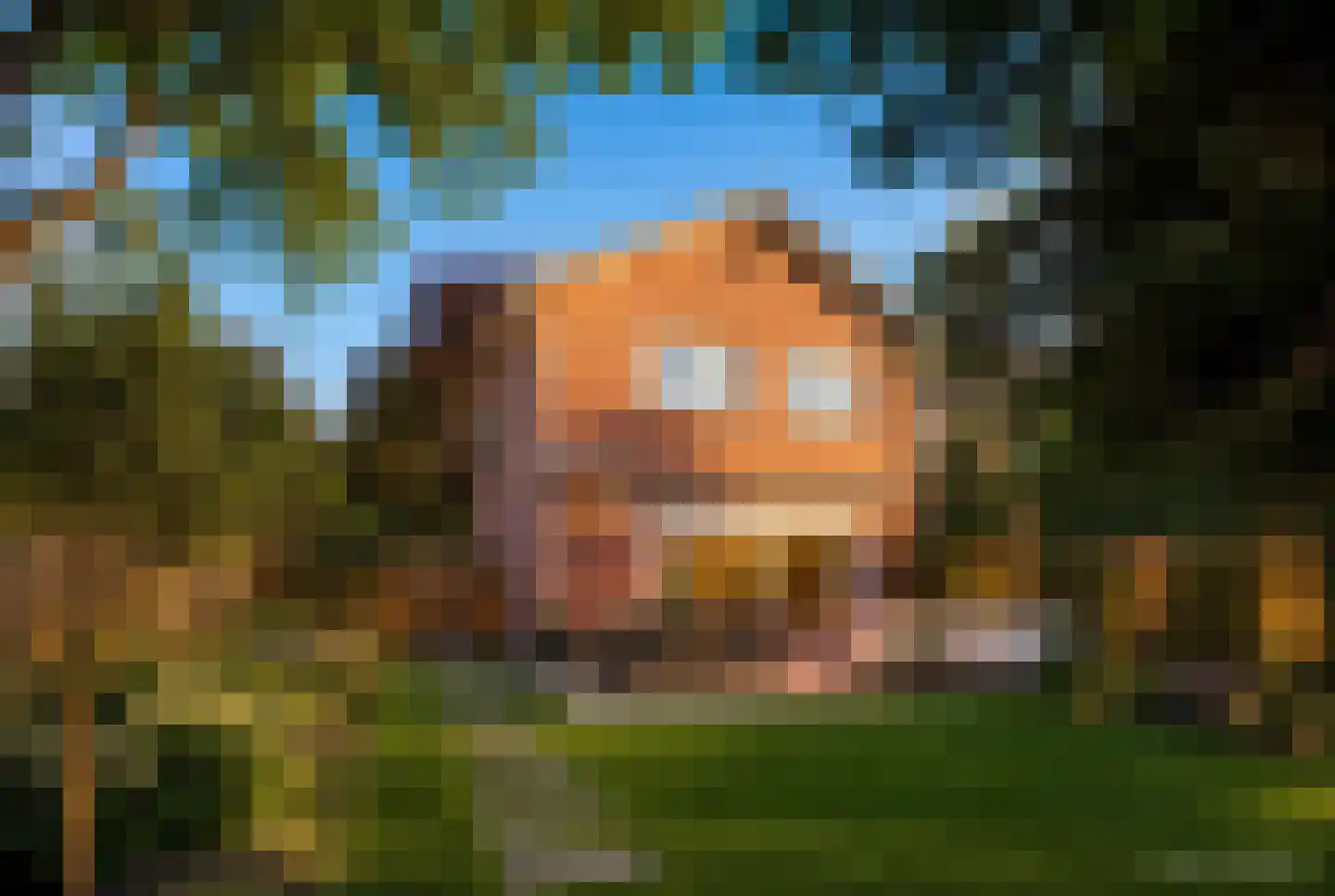 de Geerenweg 1 Baarn thumbnail 4