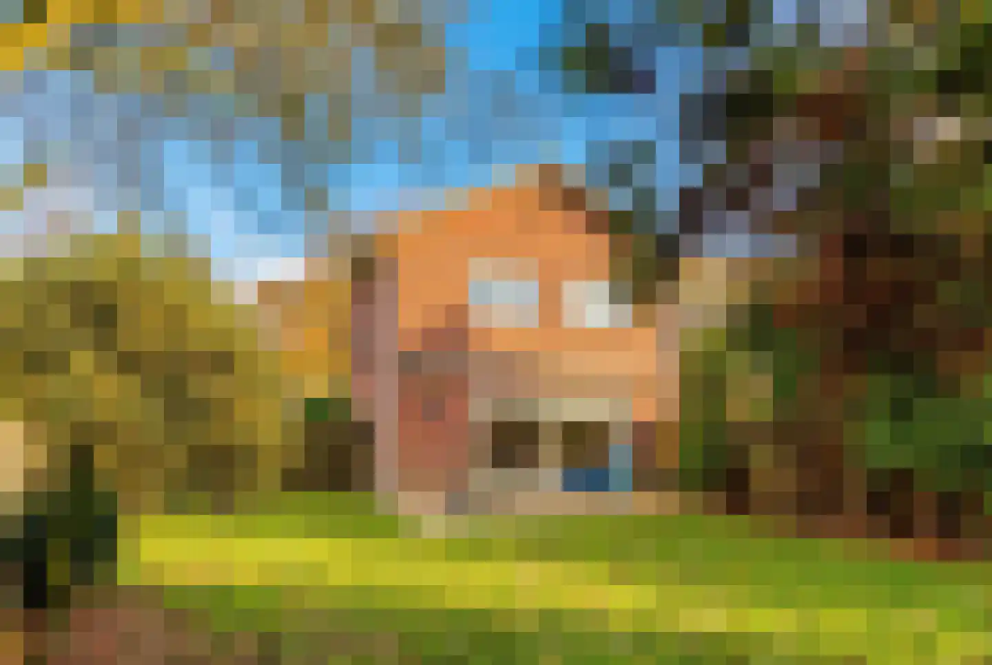 de Geerenweg 1 Baarn thumbnail 5