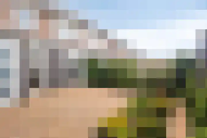 de Geerkamp 1002 Nijmegen thumbnail 28