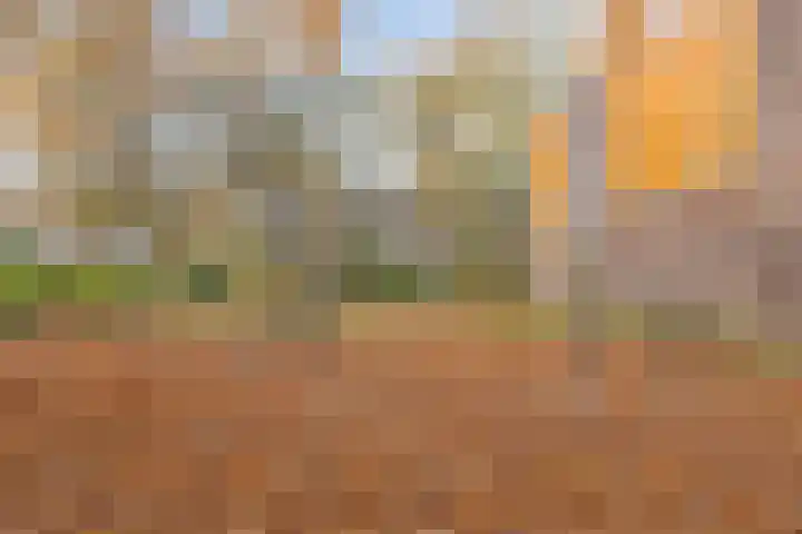 de Geerkamp 1002 Nijmegen thumbnail 34